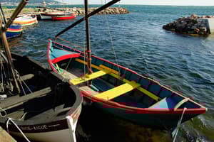 FRSET - Sète - Colourful Boats - Credits Jacqueline Macou.jpg Photo